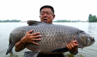 李大毛简介 李大毛简单介绍