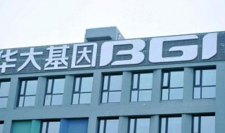 华大基因公司简介 华大基因有限公司介绍