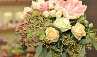 插花作品简介 介绍插花的要领