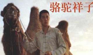 骆驼祥子作品简介 骆驼祥子作品介绍