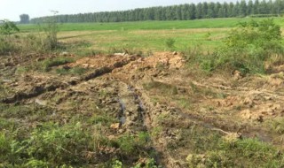 水来土掩兵来将挡是什么意思 水来土掩兵来将挡解释