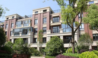 楼王是什么意思 什么是楼王