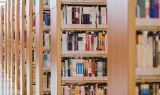 sdl是什么意思 sdl的意思介绍