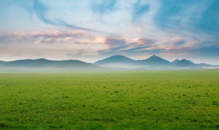 今夜草原有雨歌词 今夜草原有雨歌曲简介