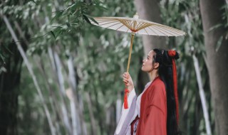 死在江南烟雨中歌词 死在江南烟雨中歌词完整版