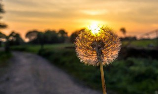 唯美动听的歌词 唯美动听的歌词精选