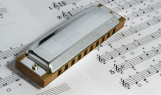 狂人日记歌词 狂人日记歌曲介绍