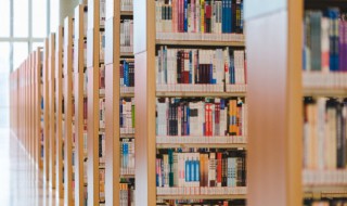 柔肠百结意思 柔肠百结简单释义