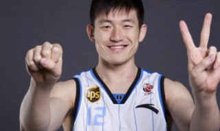 陈磊作品 陈磊代表作品