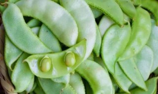 大扁豆怎么做好吃 大扁豆如何做好吃