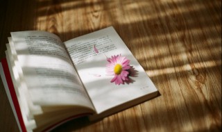 冲鸡煞西是什么意思 冲鸡煞西的含义