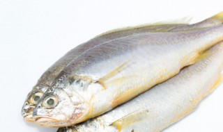 大眼鲷鱼怎么做好吃 大眼鲷鱼的做法