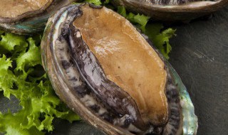 鲍鱼汤的家常做法窍门 家常鲍鱼汤怎么做