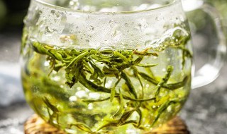 翠芽翠芽的功效与作用及禁忌 翠芽翠芽的功效和禁忌是什么