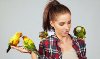 爱护鸟类的好处 爱护鸟类有什么好处