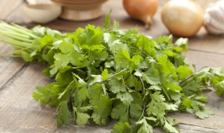 香菜拌猪头肉的做法 如何做香菜拌猪头肉