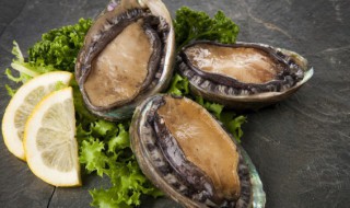 葱油小鲍鱼的做法 如何做葱油小鲍鱼