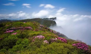 南川景点 南川景点有哪些