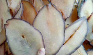 干响螺片怎么做好吃 双椒响螺片做法介绍