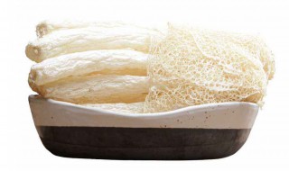 竹荪的家常做法 制作竹荪排骨汤的方法