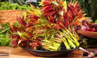 香椿的害处 有关香椿的优缺点