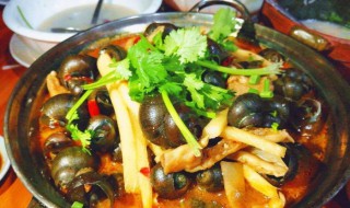 酸笋田螺煲的做法 酸笋田螺煲的做法介绍