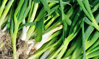 蒜苗腊肠的做法 蒜苗腊肠的做法步骤
