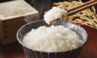 蕉叶腊味糯米饭的做法 蕉叶腊味糯米饭怎么做