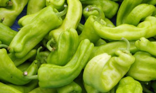 青椒炒鸭肾的做法 青椒炒鸭肾的烹饪方法