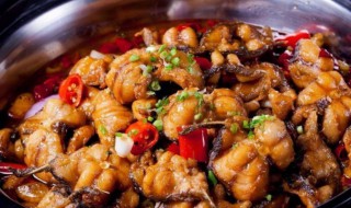 铁锅鲶鱼的做法 铁锅鲶鱼的做法介绍