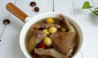 炖鸽子放什么调料 炖鸽子放哪些调料