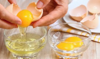 蛋角煲的做法 蛋角煲怎么做