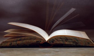 刺猬的刺怎么组词 刺猬的刺如何组词