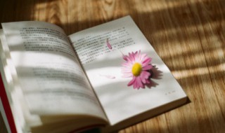 时怎么组词 时怎样组词