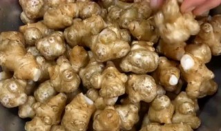 怎么腌鬼子姜好吃 腌鬼子姜好吃的方法