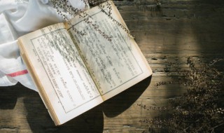 夸怎么读 夸字解释