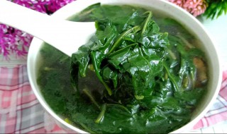 枸杞叶怎么做好吃 枸杞草怎么做
