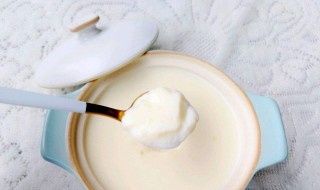 怎么做姜撞奶 姜撞奶做法