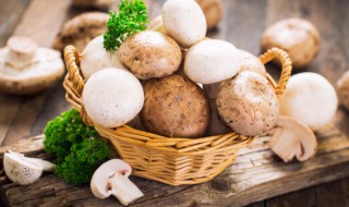 蘑菇怎样炒才好吃 制作蘑菇炒肉的方法