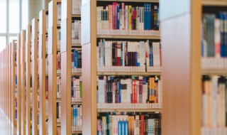 报偿的近义词 报偿的近义词有哪些呢