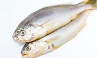 空气炸锅黄花鱼 空气炸锅黄花鱼的烹饪方法