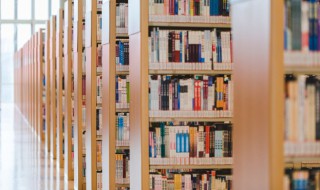 花和尚单打二龙山概括 关于花和尚单打二龙山概括