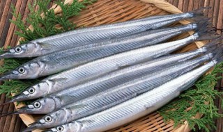 针鱼的做法大全 针鱼的烹饪方法