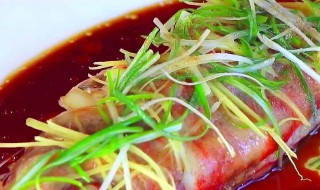 鲷鱼的做法及注意事项 鲷鱼的家常做法及注意事项