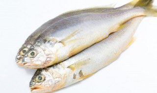 怎样清蒸鱼好吃 清蒸鱼好吃的做法