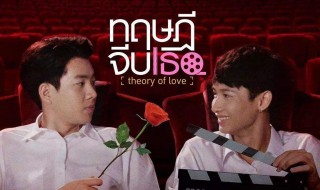 爱情理论电视剧简介 爱情理论电视剧讲述了什么