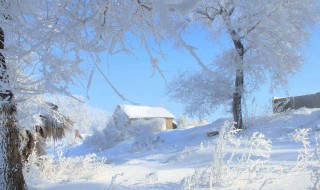 描写冬天寒冷的唯美句子 描写冬天寒冷的唯美句子精选