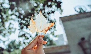 幸福就是现在作文 幸福就是现在范文欣赏