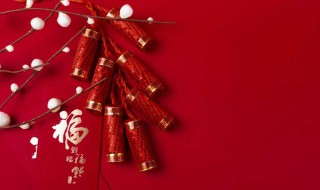 新年畅想作文 新年畅想范文欣赏