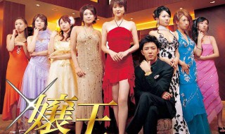 嬢王电视剧简介 电视剧嬢王剧情介绍